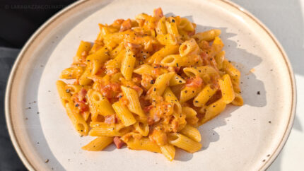 Penne rigatte al vodka 🌾🥛🥚